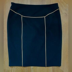 Adrianna Papell Pencil Skirt with Beautiful Piping - Size 8